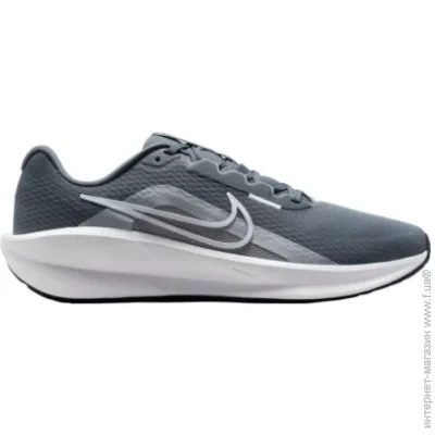    Nike Downshifter 13 (FD6454-010-42)