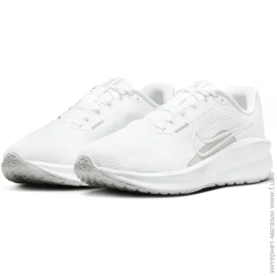    Nike DOWNSHIFTER 13 .43 (FD6454-100-43)