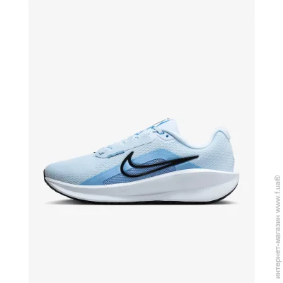    Nike Downshifter 13 (FD6476-401-41)