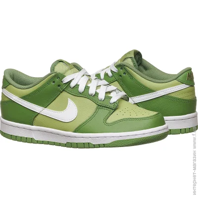    Nike DUNK CHLPHYLL (DH9765-301-36.5)