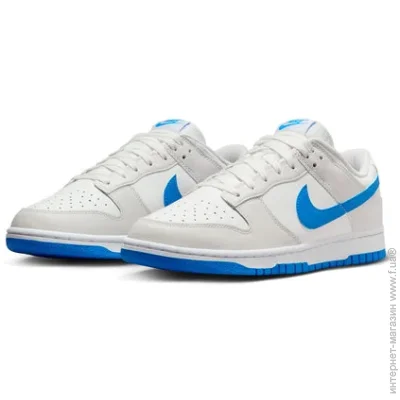   Nike Dunk Low Summit (DV0831-108-48.5)