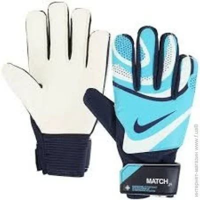   Nike Goalkeeper Match Jr (FJ4864-420-4)
