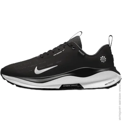    Nike InfinityRN 4 Gore-TEX (FB2204-001-46)
