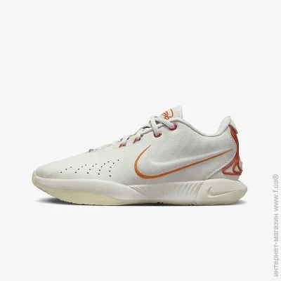    Nike LeBron 21 (FV2345-001-41)