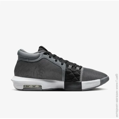    Nike LEBRON WITNESS VIII (FB2239-004-40.5)