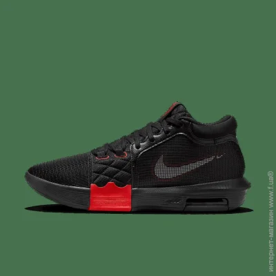    Nike Lebron Witness VIII . 45 (FB2239-005-45)