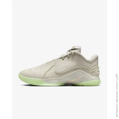    Nike LeBron XXII (FZ1094-002-46)