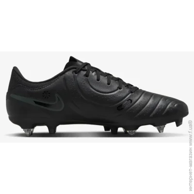 Nike Legend 10 Academy Sg-Pro Ac (DV4338-002-43)