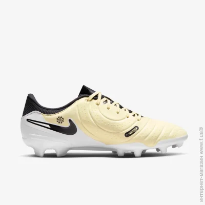 Nike Legend 10 Ac.FG/M (DV4337-700-43)