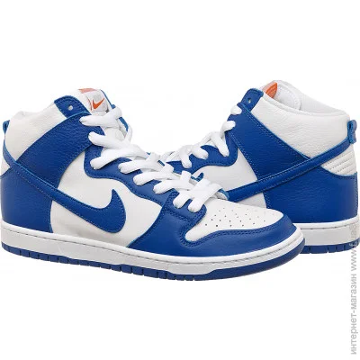    Nike   Nike Dunk High Pro (DH7149-400-44)