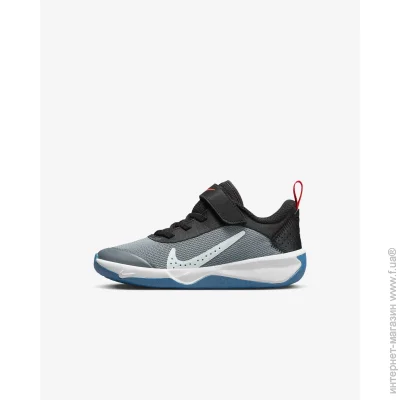   Nike Omni Multi-Court (DM9026-006-28)