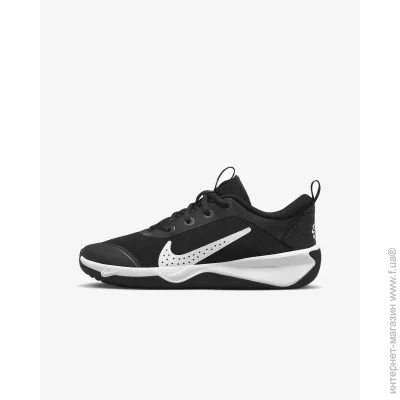    Nike Omni Multi-Court (DM9027-002-40)