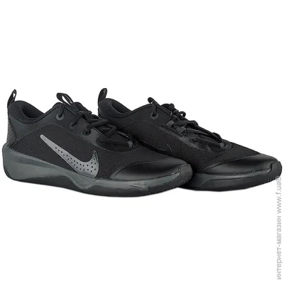    Nike OMNI MULTI-COURT (GS) (DM9027-001-35.5)