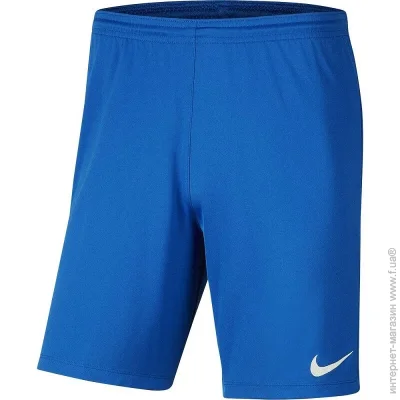 Nike PARK III (BV6865-463-164 )