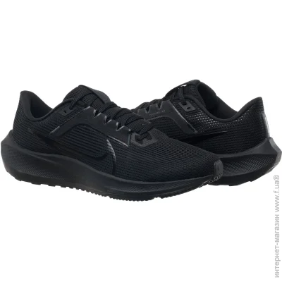   Nike Pegasus 40 (DV3853-002-39)