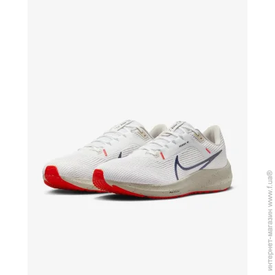    Nike Pegasus 40 (DV3853-100-46)
