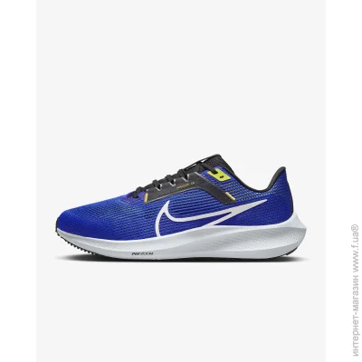    Nike Pegasus 40 (DV7480-401-44)