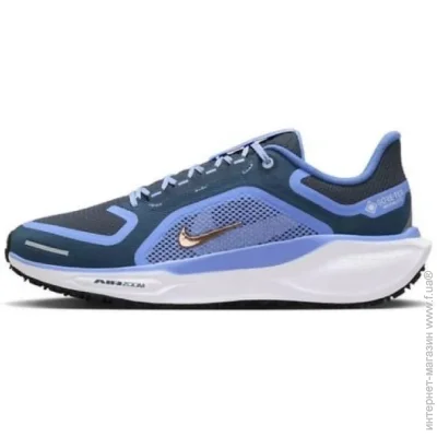   Nike pegaSuS 41 Gtx (FQ1357-400-36.5)