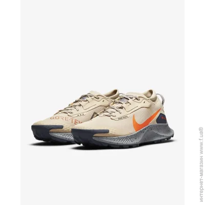    Nike Pegasus Trail 3 GORE-TEX (DC8793-200-47.5)