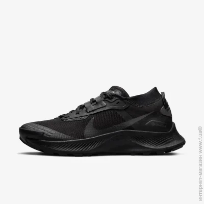    Nike PEGASUS TRAIL 3 GTX (DC8794-001-38)