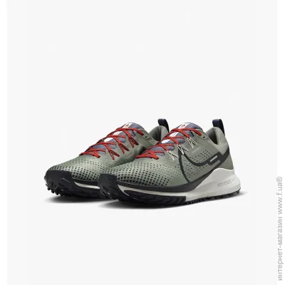    Nike PEGASUS TRAIL 4 (DJ6158-007-42.5)