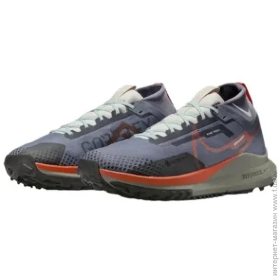    Nike PEGASUS TRAIL 4 GORE-TEX (DJ7926-006-40.5)