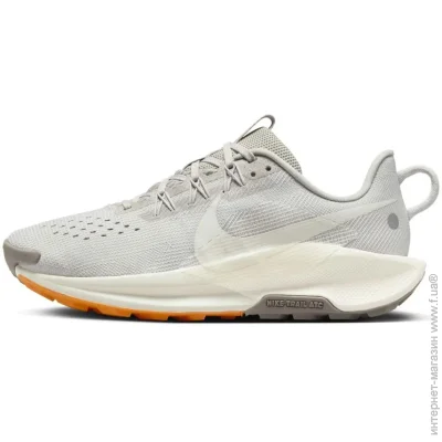    Nike Pegasus Trail 5 (DV3865-004-37.5)