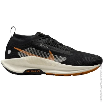    Nike Pegasus Trail 5 Gore-Tex (FQ0912-005-41)