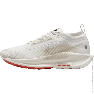    Nike Pegasus Trail 5 Gore-TEX (FQ0912-100-39)