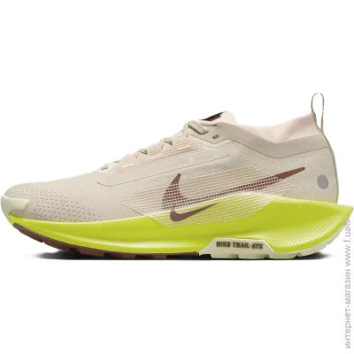   Nike Pegasus Trail 5 Gore-TEX (FQ0912-101-39)
