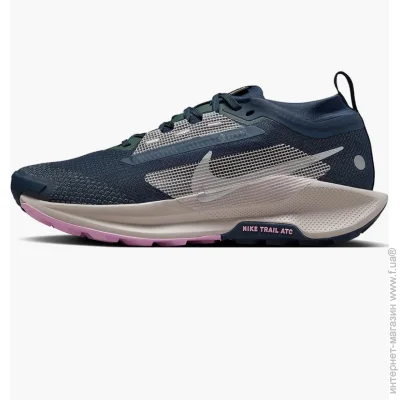    Nike Pegasus Trail 5 Gore-Texwaterproof Trail Running Shoes Blue (FQ0912-400-44)