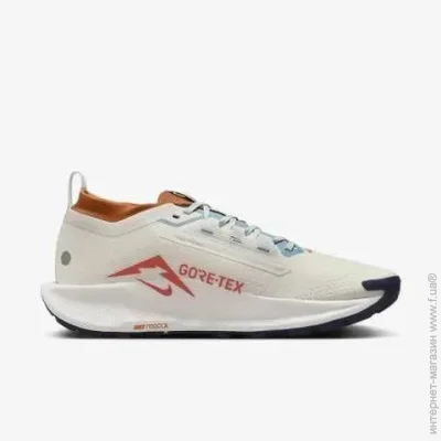    Nike Pegasus Trail 5 GTX (FQ0908-003-42.5)