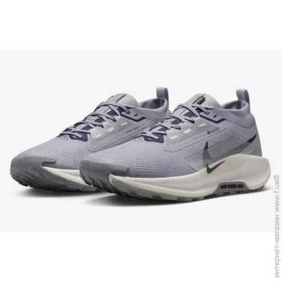    Nike PEGASUS TRAIL 5 GTX (FQ0908-006-44)