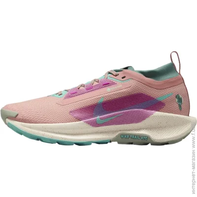    Nike PEGASUS TRAIL 5 GTX (FQ0912-600-39)