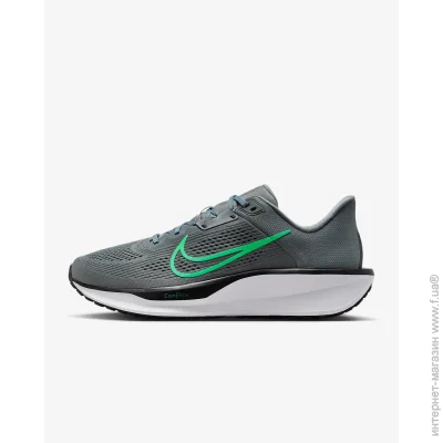    Nike Quest 6 (FD6033-009-42)