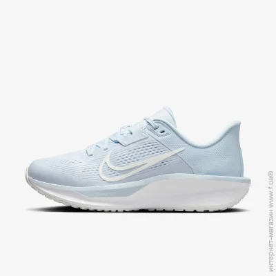    Nike Quest 6 (FD6034-402-38)