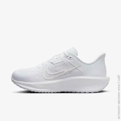    Nike Quest 6 White (FD6034-106-38)