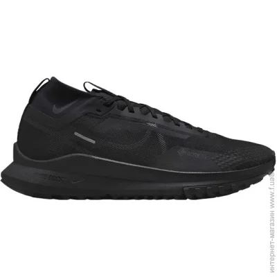    Nike React Pegasus Trail 4 GORE-TEX (HM9728-002-41)
