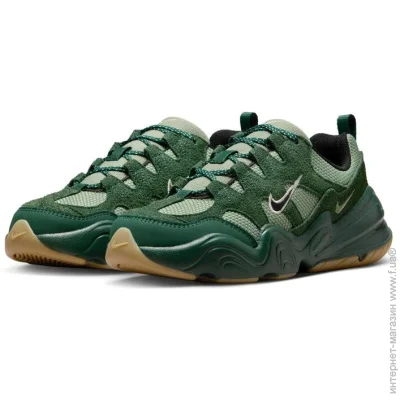    Nike Tech Hera (DR9761-300-36.5)