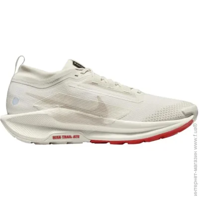    Nike Trail 5 GORE-TEX (FQ0908-100-38.5)