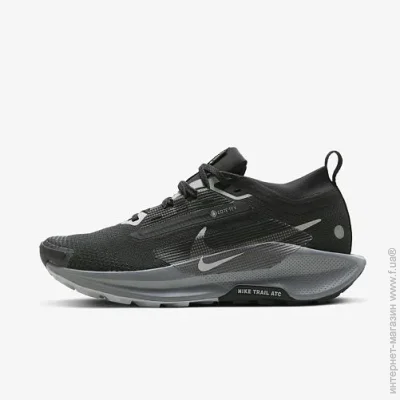    Nike W PEGASUS TRAIL 5 GTX (FQ0912-001-36.5)
