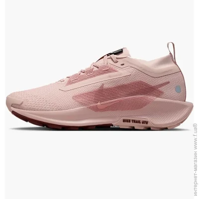    Nike W PEGASUS TRAIL 5 GTX (FQ0912-601-42)