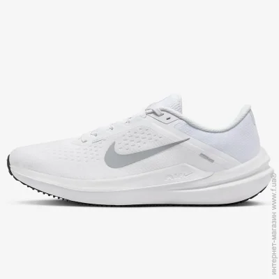    Nike Winflow 10 (DV4022-102-46)
