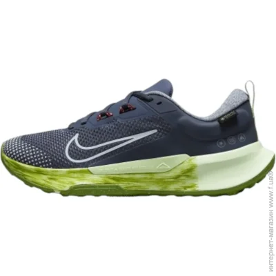    Nike Wmns Juniper Trail 2 Gtx (FB2065-403-40.5)