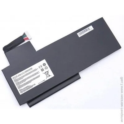    MSI WS72 (BTY-L76) ( 116069 )