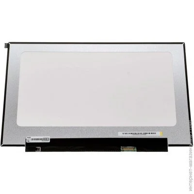   Asus G713RS ( 95476 )