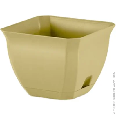 Noleks      2626   8,8   