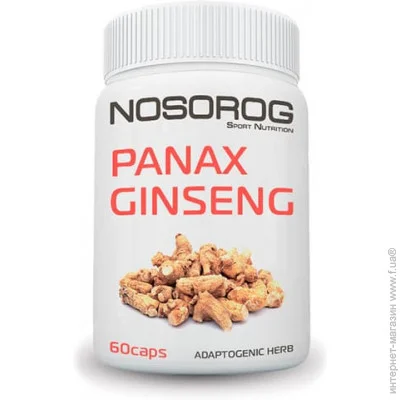   Nosorog Nutrition   Nosorog Panax Ginseng, 60 