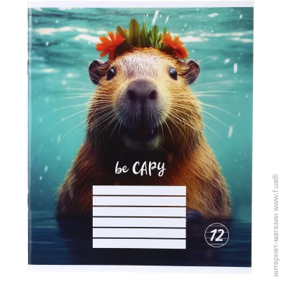 Nota Bene   Capybara24 12   