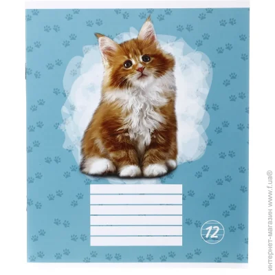 Nota Bene   Kitten 12  